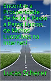 Livro Encontre a Prosperidade Perfeita e Passo a Passo Lucros de Nichos Lucrativos na Internet!