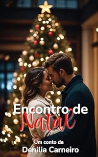 Livro Encontro de Natal: Conto