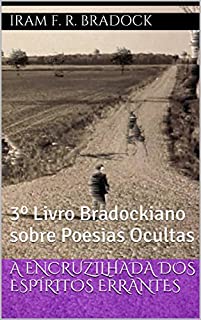 Livro A ENCRUZILHADA DOS ESPÍRITOS ERRANTES: 3º Livro Bradockiano sobre Poesias Ocultas (Poesia Oculta)