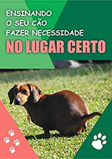 Livro Ensinando O Seu Cão Fazer Necessidades No Lugar Certo