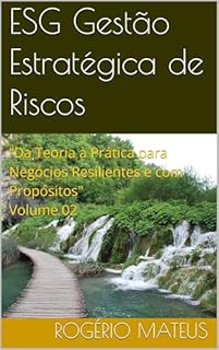 Livro ESG Gestão Estratégica de Riscos: “Da Teoria à Prática para Negócios Resilientes e com Propósitos" Volume 02