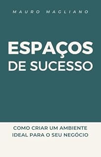 ESPAÇOS DE SUCESSO: Como criar um ambiente ideal para o seu negócio.