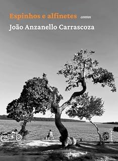 Livro Espínhos e alfinetes