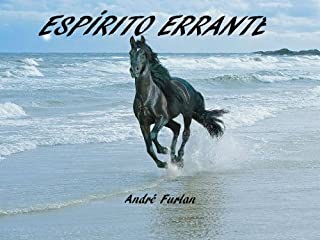 Livro ESPÍRITO ERRANTE