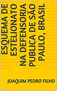Livro Esquema de Estelionato na Defensoria Publica de São Paulo, Brasil