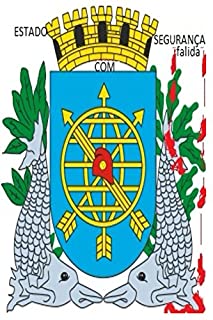 Livro ESTADO COM SEGURANÇA¨falida¨