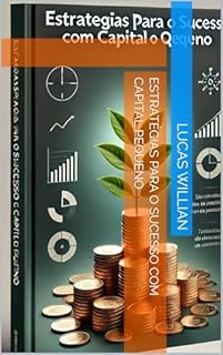 Livro Estratégias para o Sucesso com Capital Pequeno