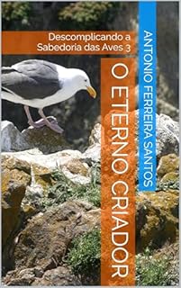Livro O Eterno Criador : Descomplicando a Sabedoria das Aves 3