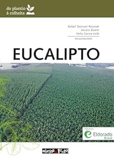Eucalipto: do Plantio à Colheita