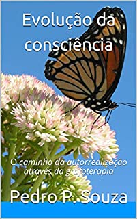 Livro Evolução da consciência: O caminho da autorrealização através da grafoterapia (Grafoterapias)