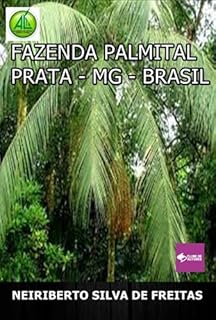 Livro Fazenda Palmital Prata-mg-brasil