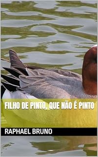 Livro FILHO DE PINTO, QUE NÃO É PINTO