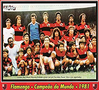 Livro UMA VEZ FLAMENGO FLAMENGO ATÉ MORRER: DO REMO À CAMPEÃO MUNDIAL DE FOOTBAL EM 1981