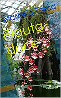 Livro Flauta-doce