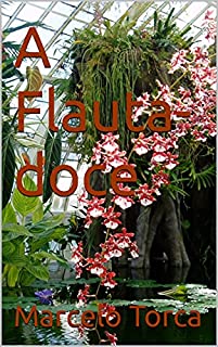Livro A Flauta-doce