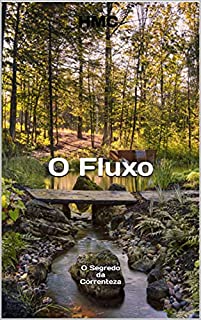 Livro O Fluxo: O Segredo da Correnteza (Energia)