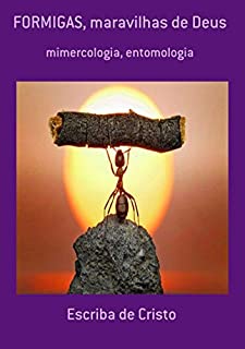 Livro Formigas, Maravilhas De Deus