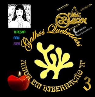 Livro Galhos Quebrados