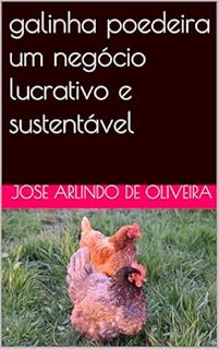 galinha poedeira um negócio lucrativo e sustentável
