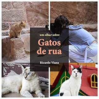 Gatos de rua: Um olhar sobre