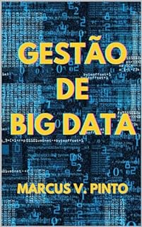 Livro GESTÃO DE BIG DATA (Big Data - em Português Livro 4)
