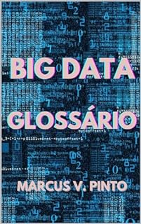 Livro GLOSSÁRIO DE BIG DATA (Big Data - em Português Livro 6)