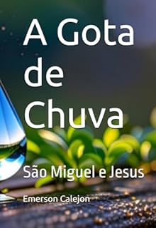 Livro A Gota De Chuva