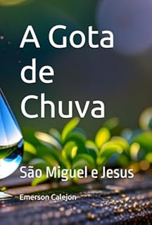 Livro A Gota De Chuva