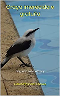 Livro Graça imerecida e gratuita: Segundo João Wesley