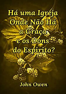 Livro Há Uma Igreja Onde Não Há A Graça E Os Dons Do Espirito?