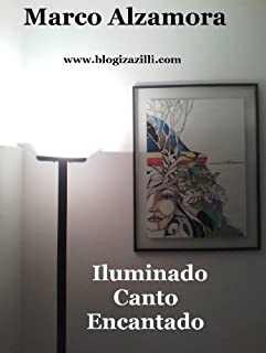 Livro Iluminado Canto Encantado: Assim encerrei uma empreitada deveras complicada.