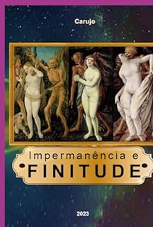 Livro Impermanência E Finitude