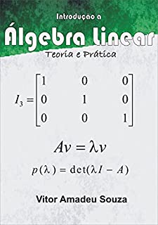 Livro Introdução à Álgebra Linear  Teoria e Prática