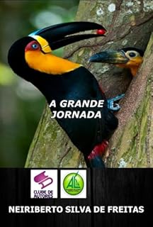 Livro A Grande Jornada De Azul E Amarelo