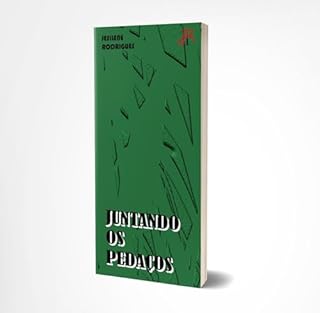Livro JUNTANDO OS PEDAÇOS