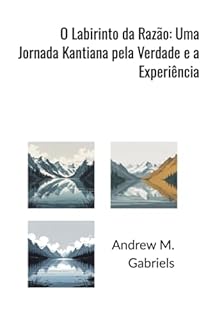 Livro O Labirinto Da Razão: Uma Jornada Kantiana Pela Verdade E A Experiência