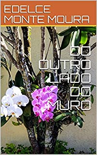 Livro DO OUTRO LADO DO MURO