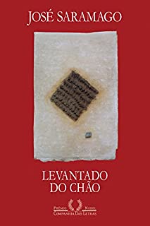 Livro Levantado do chão: Romance