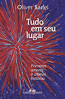 Livro Tudo em seu lugar: Primeiros amores e últimas histórias