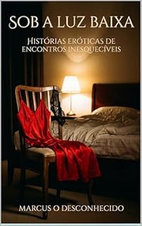 Sob a Luz Baixa: Histórias eróticas de encontros inesquecíveis