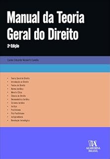 Manual da teoria geral do direito (Manuais Universitários Livro 1)