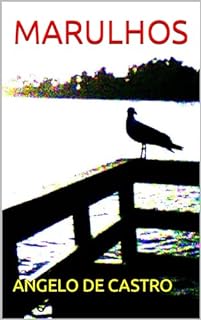 Livro MARULHOS