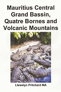Livro Mauritius Central Grand Bassin, Quatre Bornes and Volcanic Mountains: Uma Lembranca Colecao de fotografias coloridas com legendas (Foto Albuns Livro 12)
