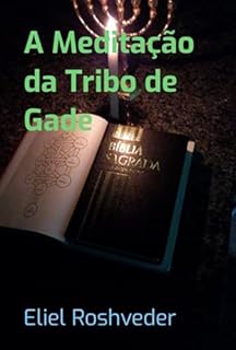 Livro A Meditação Da Tribo De Gade