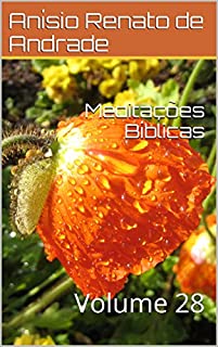 Livro Meditações Bíblicas: Volume 28