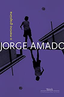 Livro O menino grapiúna