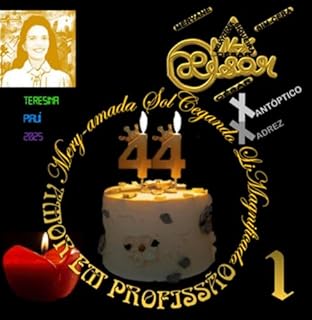 Livro Mery-amada Solcegando Limagnificado