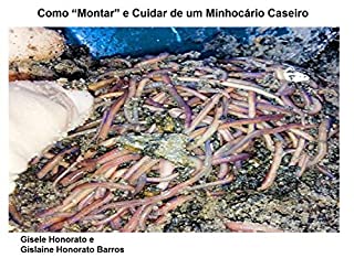 Como "Montar" e Cuidar de um Minhocário Caseiro