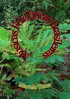 Músicas Do Folclore Brasileiro