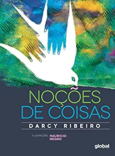 Noções de coisas (Darcy Ribeiro)